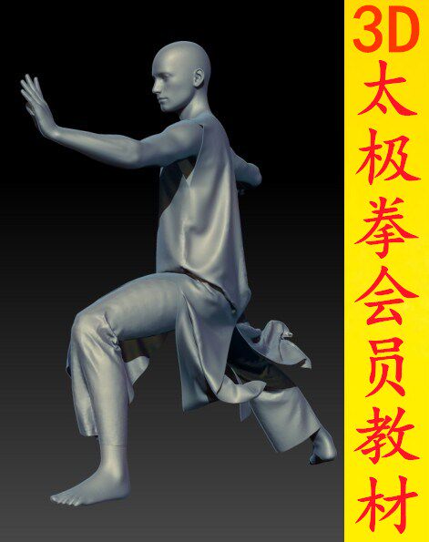 3D Tai Chi Chuan tutorial full version contains Tai Chi 24 traditional Yang style Chen style Tai Chi Martial Arts Kung Fu non-CD-rom