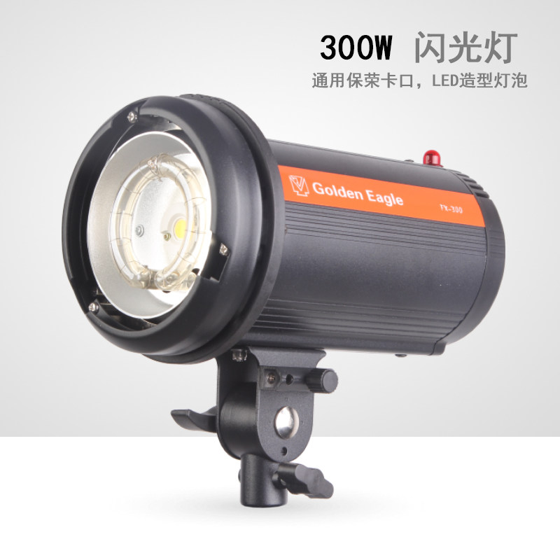 Golden Eagle FX300 300W Photographic Lamp Shadow Room Light Photo Studio Flash Merchandise Document Static Electric Commercial Shooting
