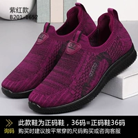 Purple-Red 1652 Spring Single Thote