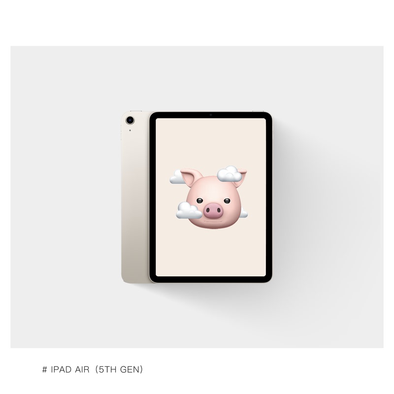 Apple/Apple 10.9inch iPad Air (Fifth Generation) Wi-Fi Model Air5