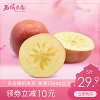 Синьцзян Аксу Рок -Сердце Сердце яблока сетка 5 Котт уродливые красные яблоки Fuji Apple Fresh Frunt Dropping 10