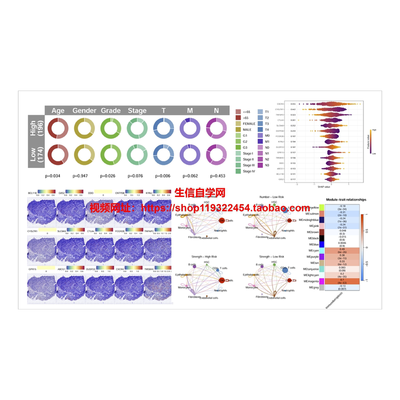 New Hot Topic in Immune Iron Death (Single-Cell Sequencing + Scissor + Spatial Transcriptomics Wgcna Prognostics Shap) New Hot Topic in Immune Iron Death (Single-Cell Sequencing + Scissor + Spatial Transcriptomics Wgcna Prognostics Shap)
