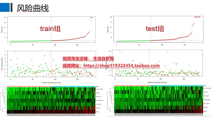 Cox Model Verification Video (Train Group/Test Group/Cox Proportional Hazard Regression Model/Prognosis)