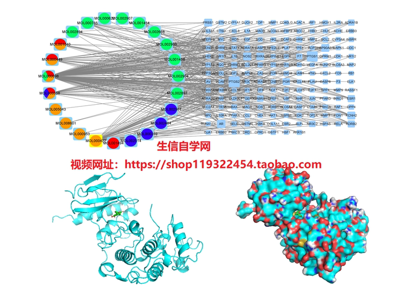 Traditional Chinese Medicine Compound Formula Network Pharmacology Joint Molecular Docking Routine Video Tutorial/Bioinformatics Self-Study Online Platform/Multiple Traditional Chinese Medicines Traditional Chinese Medicine Compound Formula Network Pharmacology Joint Molecular Docking Routine Video Tutorial/Bioinformatics Self-Study Online Platform/Multiple Traditional Chinese Medicines