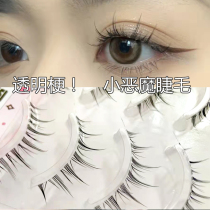 Cute Schaer Super Natural Little Devil Fairy Eyelash Fake Eyelash Fine Stem Natural Light Makeup Simulation Whole New Hand Dress