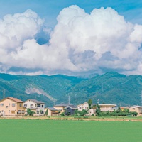 西瓜,想挖一勺