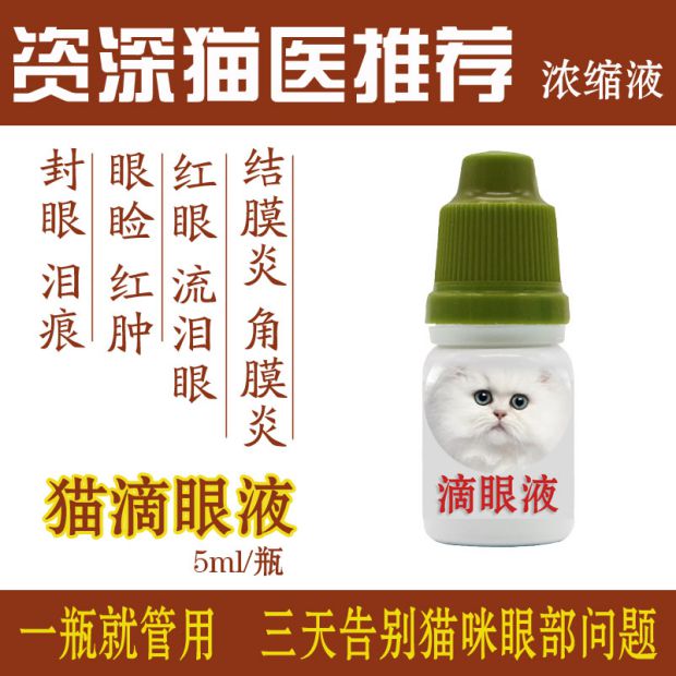 Thuốc nhỏ mắt mèo, mũi lạnh, virus herpes simplex, thuốc nhỏ nước, mắt, mèo, chó, chống viêm nói chung, viêm kết mạc, hắt hơi - Thuốc nhỏ mắt thuốc nhỏ mắt cho chó poodle