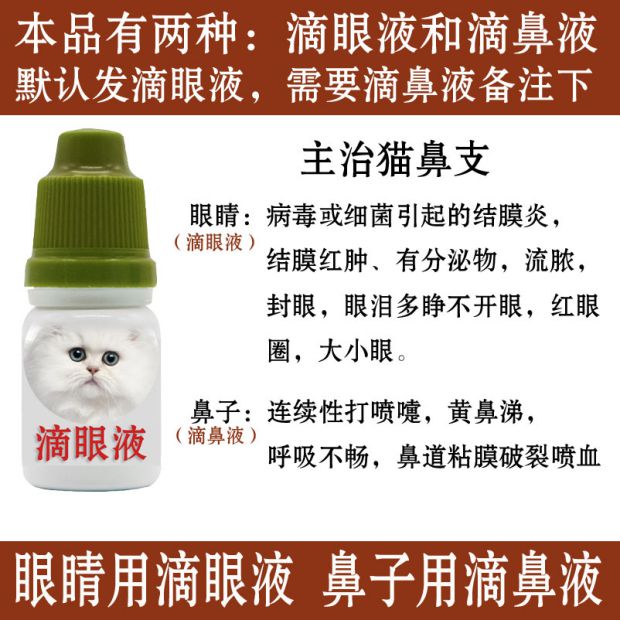 Thuốc nhỏ mắt mèo, mũi lạnh, virus herpes simplex, thuốc nhỏ nước, mắt, mèo, chó, chống viêm nói chung, viêm kết mạc, hắt hơi - Thuốc nhỏ mắt thuốc nhỏ mắt cho chó poodle