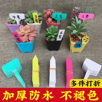 Gardening label plastic ground waterproof plug succulent plant T Type 1 hanging tag listed flower potted small