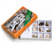 9 kinds of natural marine animal and plant fossil specimens magnifying glass boxed student natural science geology textbook gift