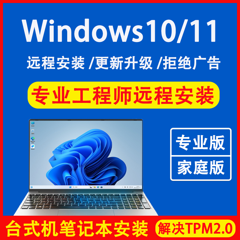 Computer system Reloaded win10 Professional version pure original windows11 Desktop notebook Remote installation-Taobao