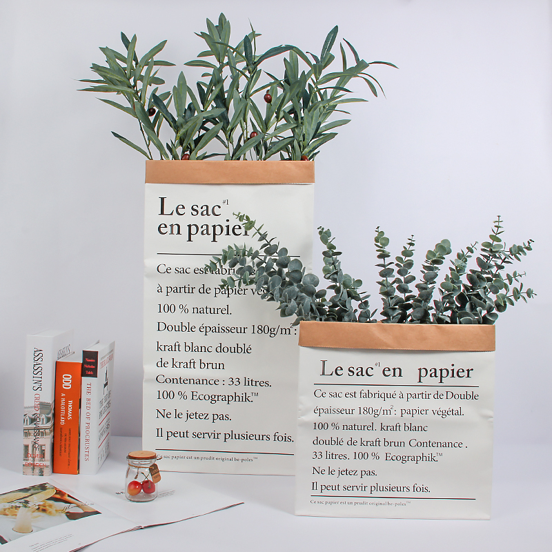 ins kraft paper bag green plant studio decoration props net red live room decoration living room home interior decoration