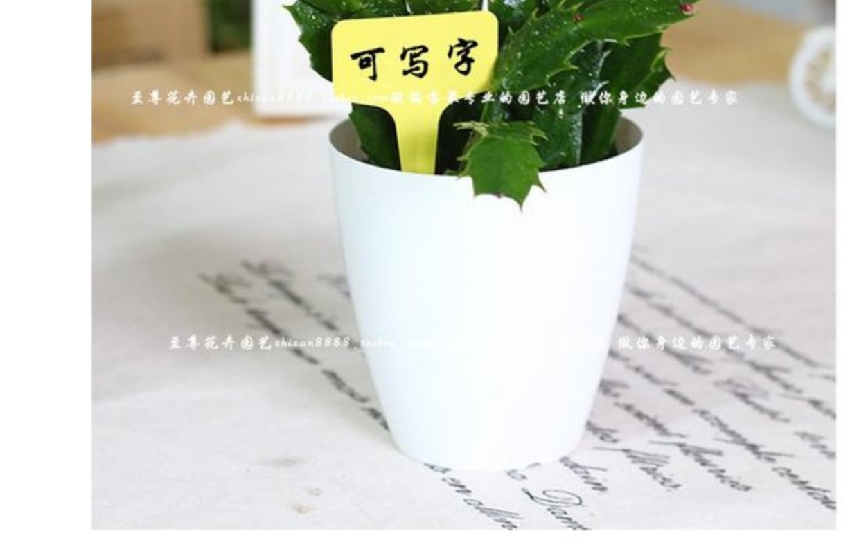 Vật tư làm vườn gắn thẻ nhãn thực vật nhãn hoa thẻ stereo cắm thẻ đa dạng tấm viết dụng cụ làm cỏ