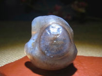 Noisy silver root grass flower eyes Agate modeling strange stone collection Alashan Gobi Agate rough ugly