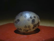 Ink and dyeing charm Grass flower beads Qishi collection Alashan Gobi Agate rough ugly