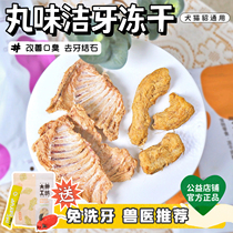 Pill-flavored freeze-dried chicken neck rabbit steak cat molar stick dog freeze-dried raw bone meat cat snacks freeze-dried calculus