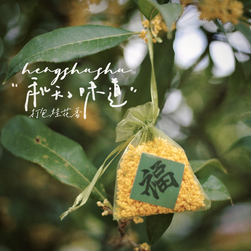 Osmanthus Sachet Empty Bag, Transparent Gauze Bag with Drawstring, Chinese Style Mid-Autumn Festival DIY Dried Flower and Fresh Flower Storage Gift Bag