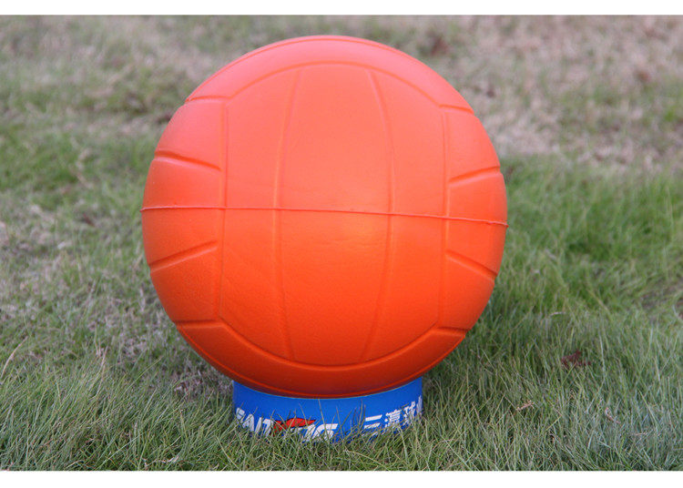 Ballon de volley-ball - Ref 2011624 Image 6