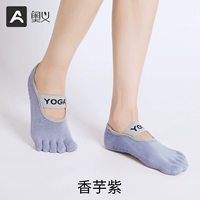 Таро пурпур] лента пять носков