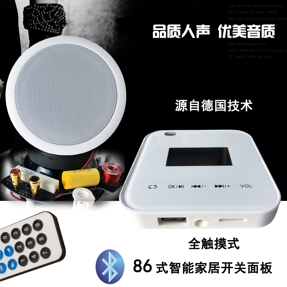Dickaboo Smart Home Power Amplifier Panel 86 Style Smart Home Power Amplifier Fixed Resistance Coaxial Suction Top Horn