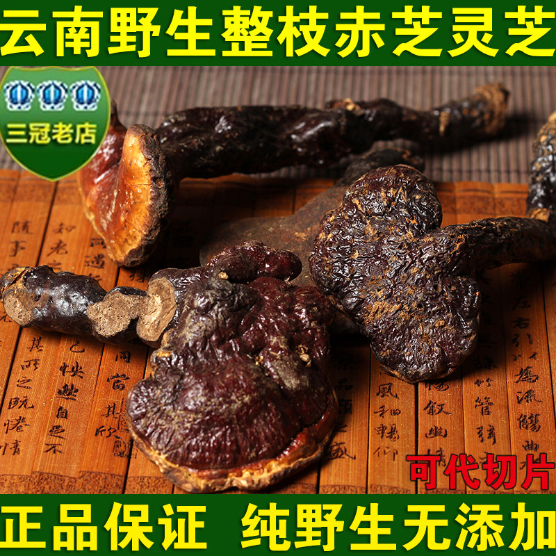 Yunnan wild barezhi lingzhi lingzhi natural whole branch red cheese 5-8CM red lingzhi sheet Linzhi 250 gr