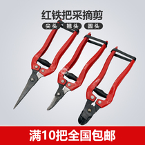 Fruit picking scissors Thin fruit scissors Steel fruit citrus picking oranges cut grapes Apple Wendan pruning strip spring scissors