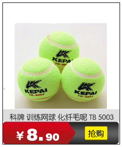 Ballon de volley - Ref 2010729 Image 9