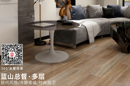 (100 yuan deposit) Living home floor Blue Mountain Governor