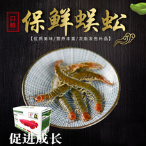 Dragon fish feed fresh-keeping centipede barley worm grasshopper cockroach cricket dragon fish hair color food turtle food feed