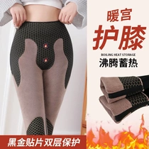 Black gold graphene Barbie pants for womens outer wear plus velvet and thickened heat storage shark leggings for winter belly control slimming and compression