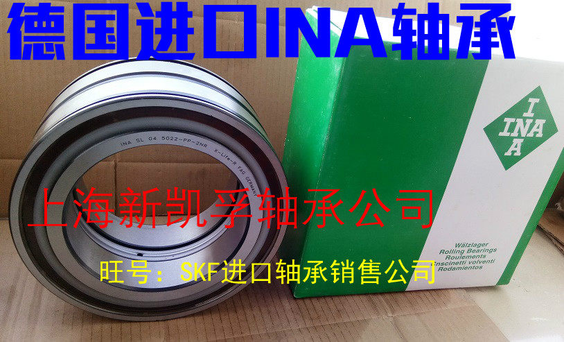 Roller bearing imported INA bearing SL045004 045005 045006 045007 045008-PP