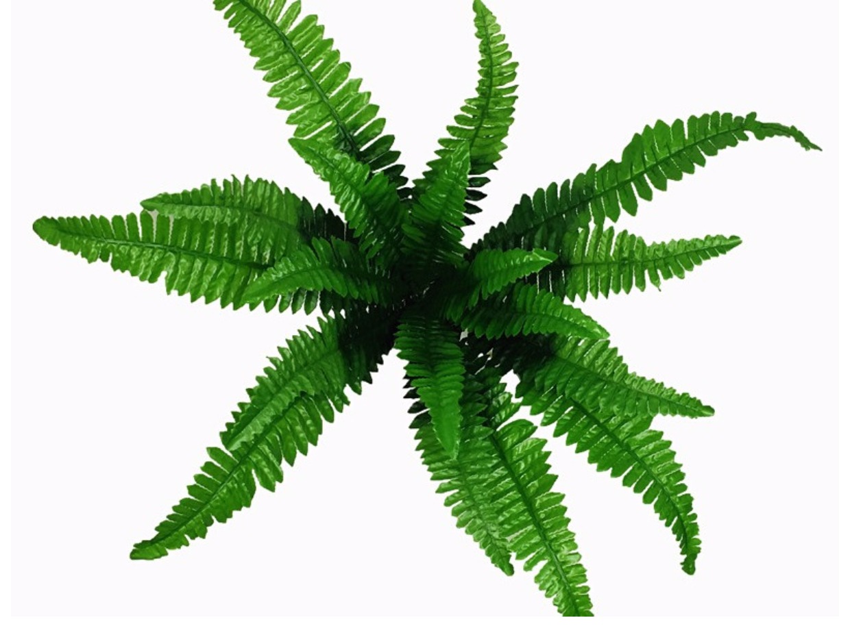 Green Rhyme Mô phỏng Cỏ Ba Tư Cây sắt Cây lá dọc Cây xanh Trang trí tường Phụ kiện Cây xanh Hoa Tường - Hoa nhân tạo / Cây / Trái cây bình hoa giả để bàn