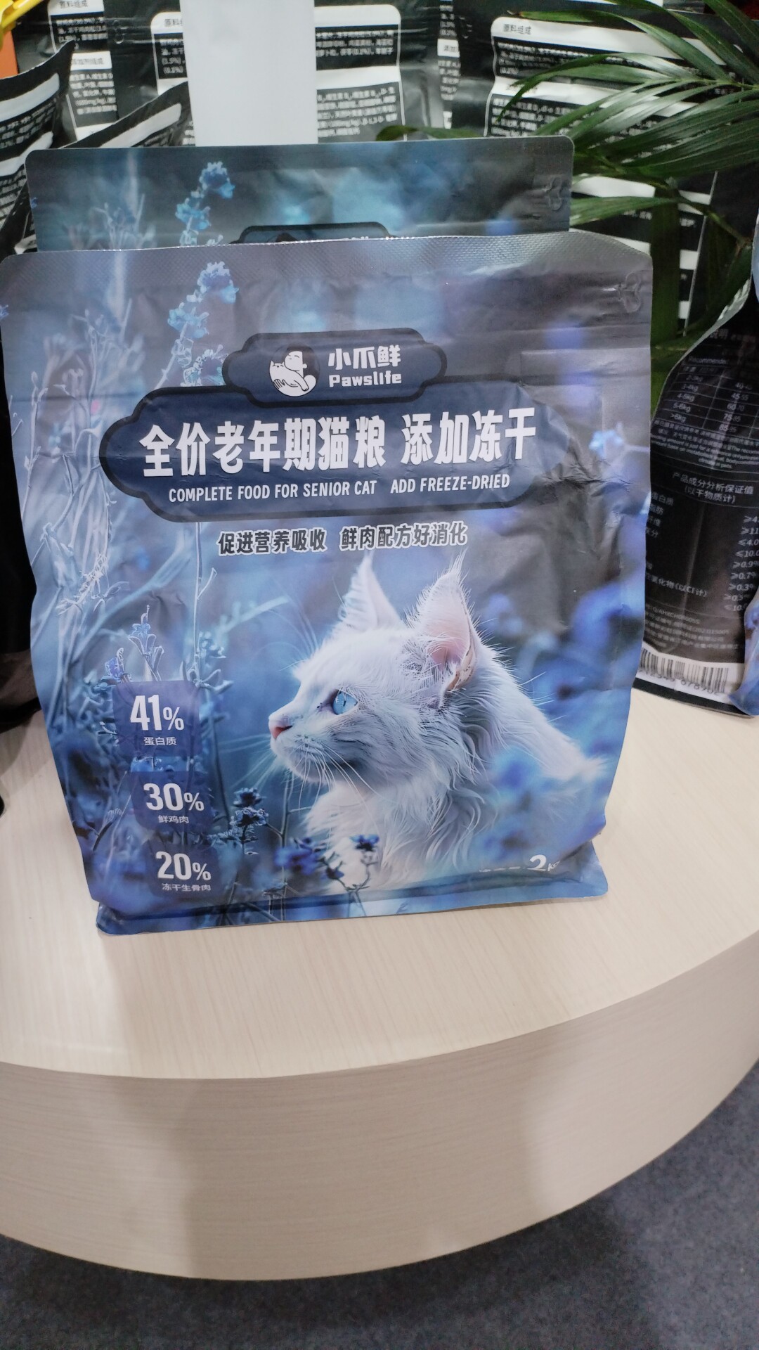 寵寵般若動