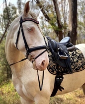 IROSKA imported jacquard saddle pad equestrian movement disorder dressage horse special sweat pad