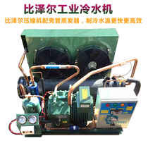 5 to 30HP Bitzer industrial chiller air-cooled chiller equipment cooling machine (with shell and tube evaporator)
