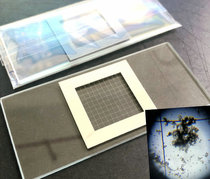 HD mold line plankton counting box 0 1 0 5 1 2 5ml algae Ascaris egg quantitative counting box