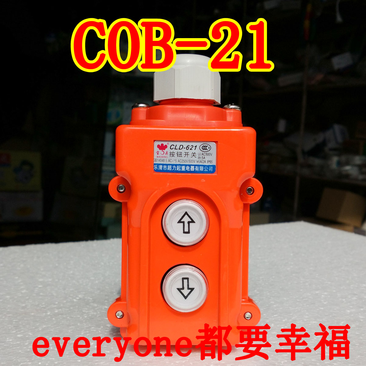 CLD-621 rainproof crane COB-21 upper and lower two-position direct control push button switch crane (TNHA1-31)