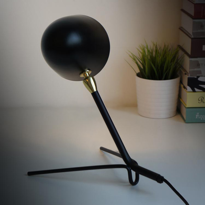 ���ʦ�ĵƼ�ŷ��ʽ���Ŵ�ͷ���ϵ�SJS-LOO4-2