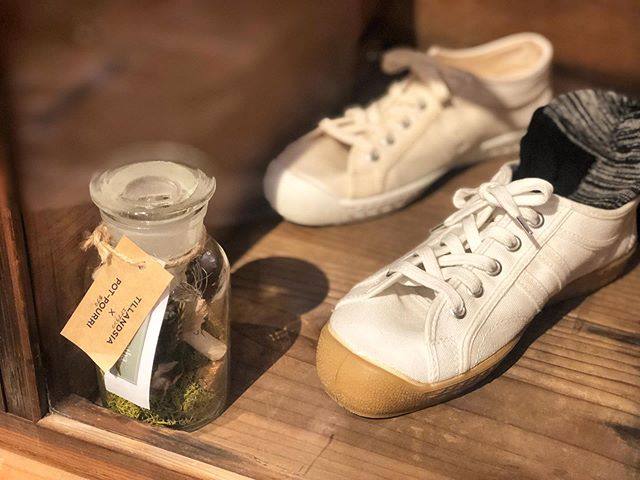 vintage canvas shoes