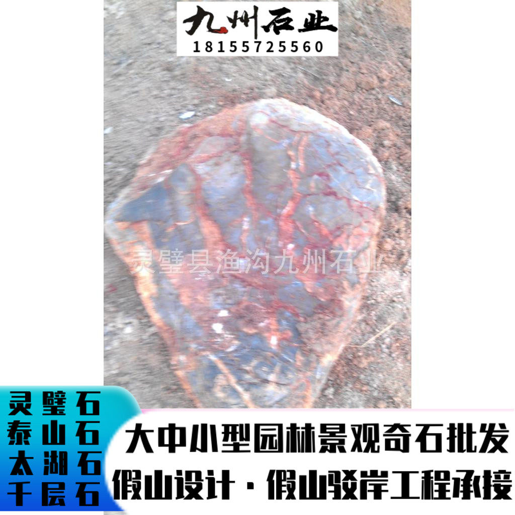 Small Chishi Wholesale Purchasing Chishi Base Direct Sales Manufacturer Supply Potted Chiishi Goods Wholesale Large Stone