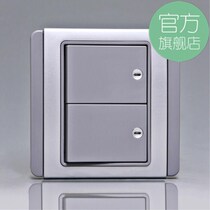 Schneider Electric double single control wall socket switch panel 10A E3000 will Silver Gray