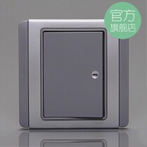 Schneider Electric single-link dual-control wall socket switch panel 10A E3000 will be silver gray