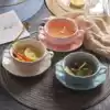 Nordic bowl Household new simple European style cute tableware with handle oatmeal bird's nest bowl Dessert bowl