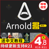 C4D Arnold 3 01 Renderer Arnold2 6 Plug-in 2 5 Chinese Chinese version bilingual WIN MAC tutorial
