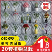 c4d engineering model material indoor potted 3d bonsai flowers pastoral forest flower arrangement plants green vegetation decoration