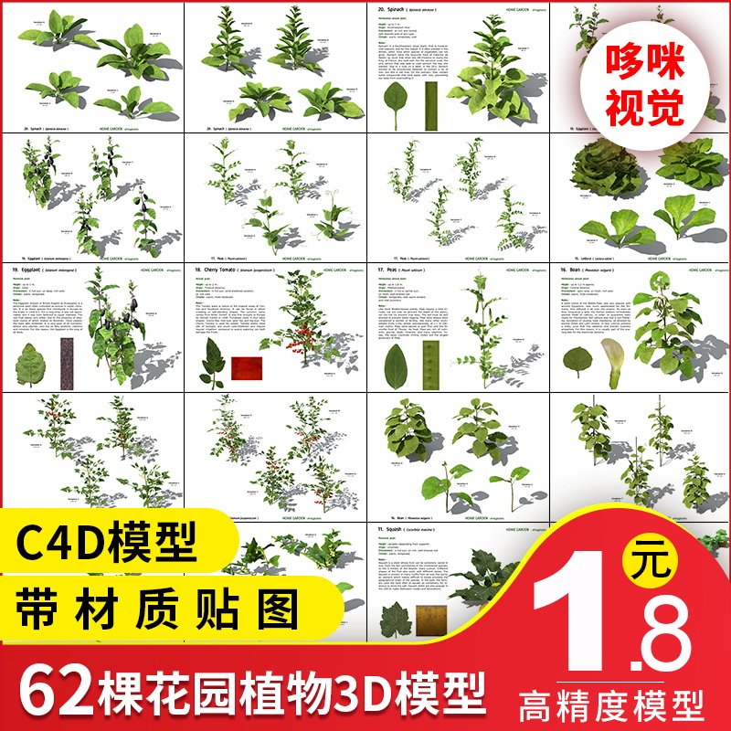 C4D model engineering material 3D plant fruit vegetable chili tree watermelon Tengtian garden fresh flower grass green leaves