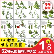C4D model engineering material 3D plant fruit vegetable pepper tree watermelon teng pastoral flowers grass green leaves