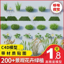Garden landscape c4d project 3d plants flowers flowers vegetation monomer fine model material bonsai planting flower arrangement