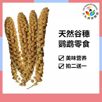 New yellow millet spike training bird food snacks natural organic stainless steel food basket parrot toy beat 2 bags to 1 bag