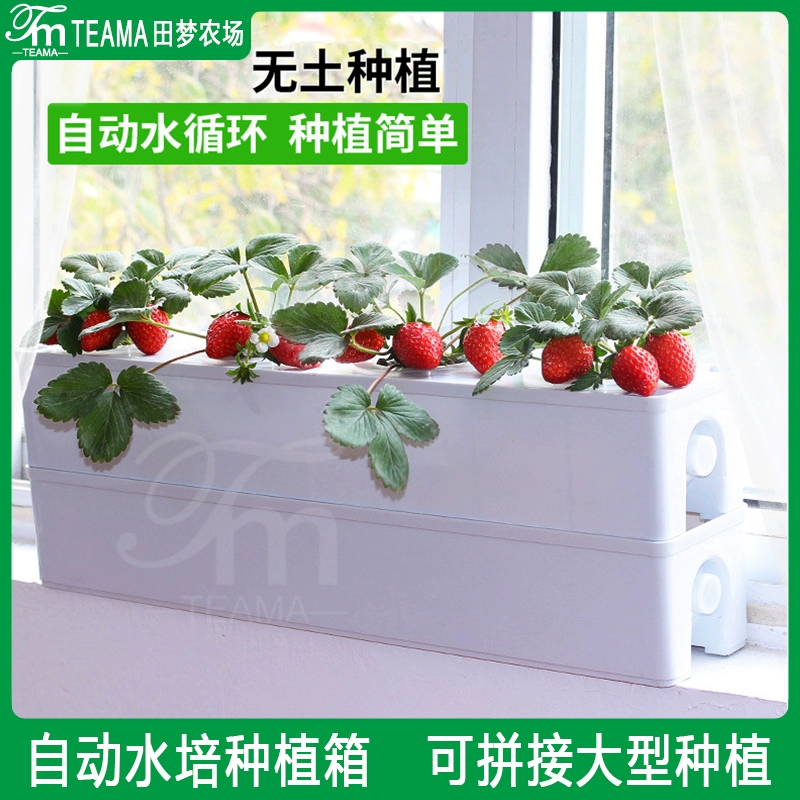 Thiết bị trồng rau sân thượng không cần đất, hộp trồng rau thủy canh dâu tây, vật dụng trồng rau tự động, máy thủy canh chuyên dụng - Thiết bị sân khấu